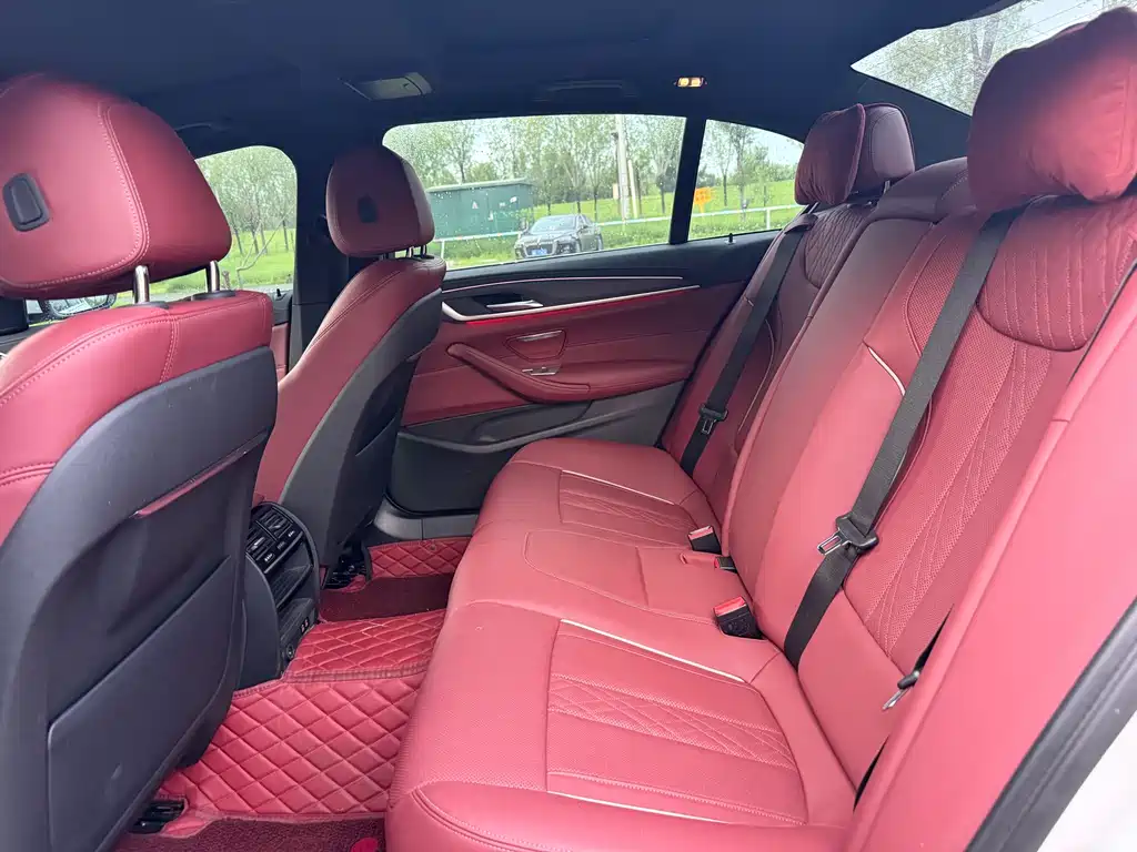 BMW 5 Series 5 2022 530Li Lead Luxury