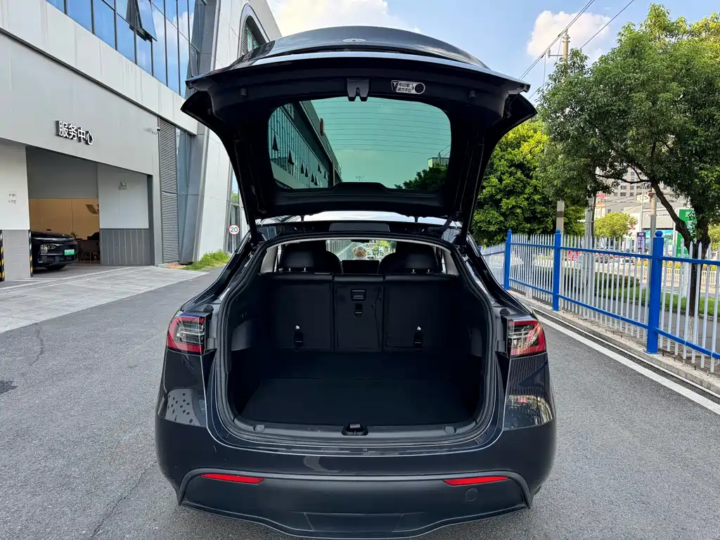 Tesla Model Y — миниатюра 10