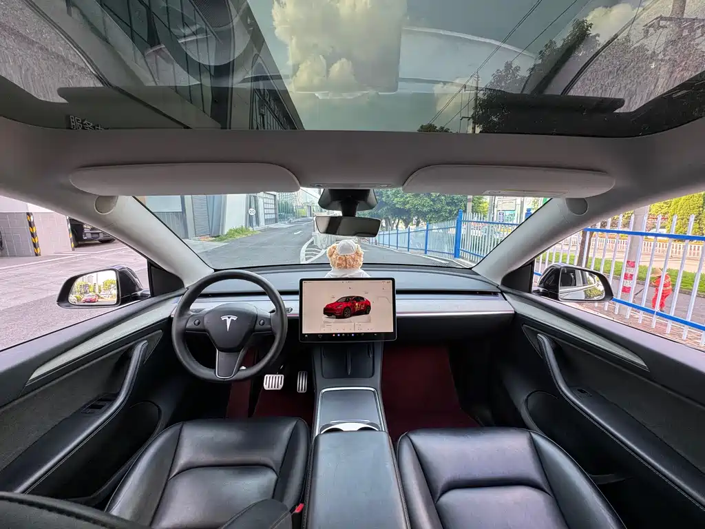 Tesla Model Y — миниатюра 9