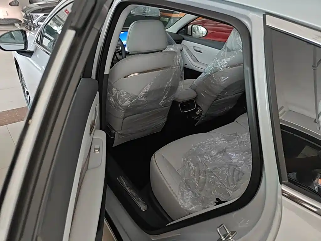 Baojun Xiangjing — миниатюра 17