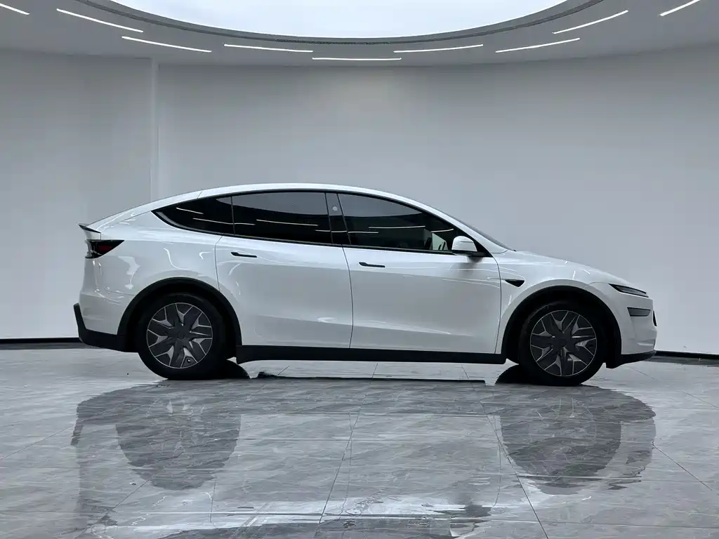 Tesla Model Y L