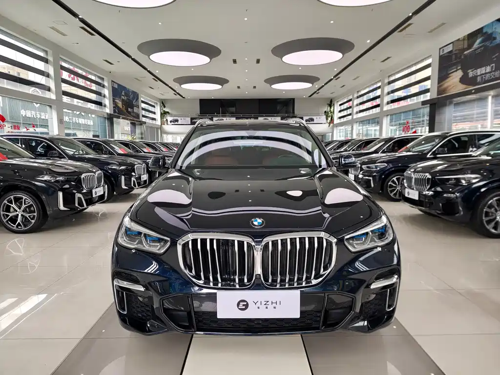 BMW X5 — миниатюра 2