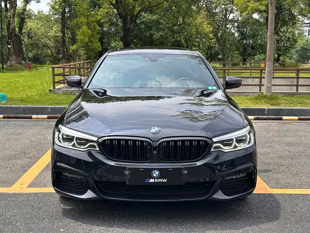 BMW  5 SERIES 2019