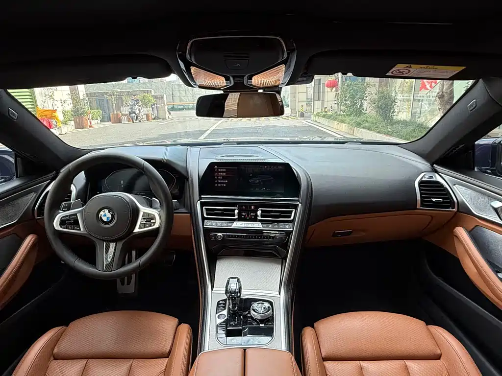 BMW 8 Series — миниатюра 8