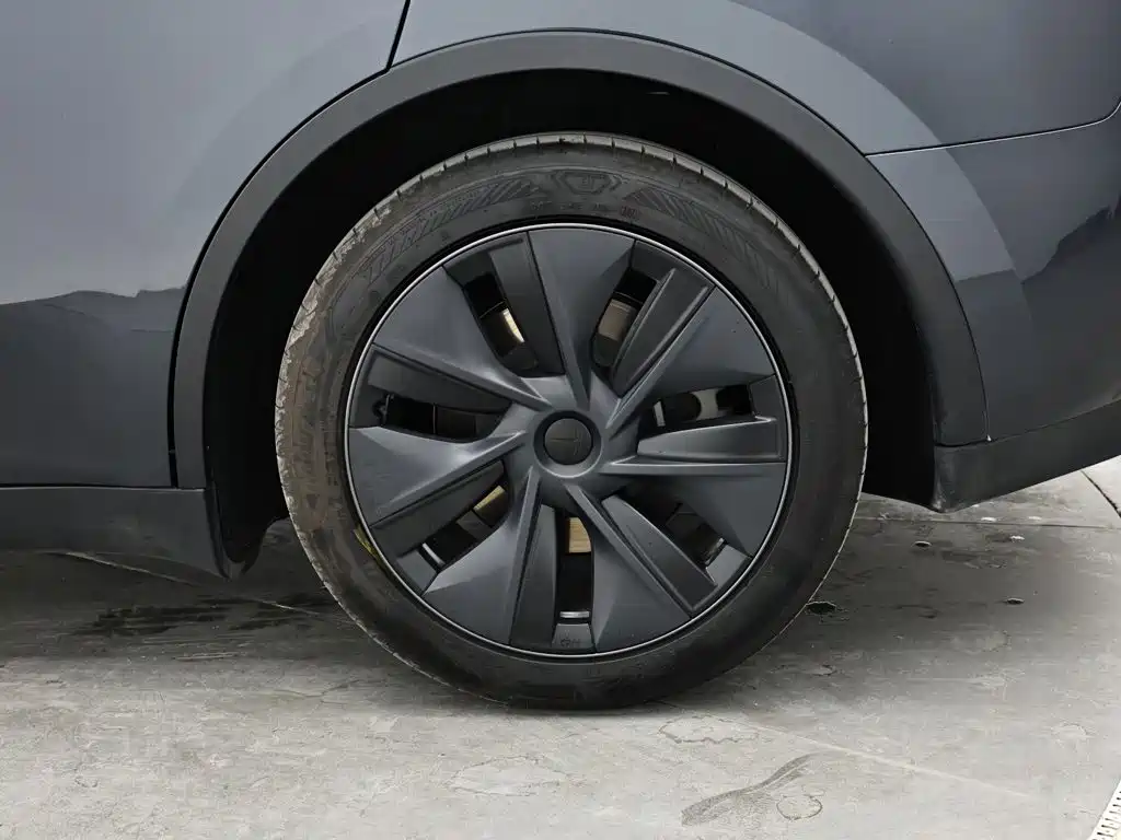 Tesla Model Y — миниатюра 9