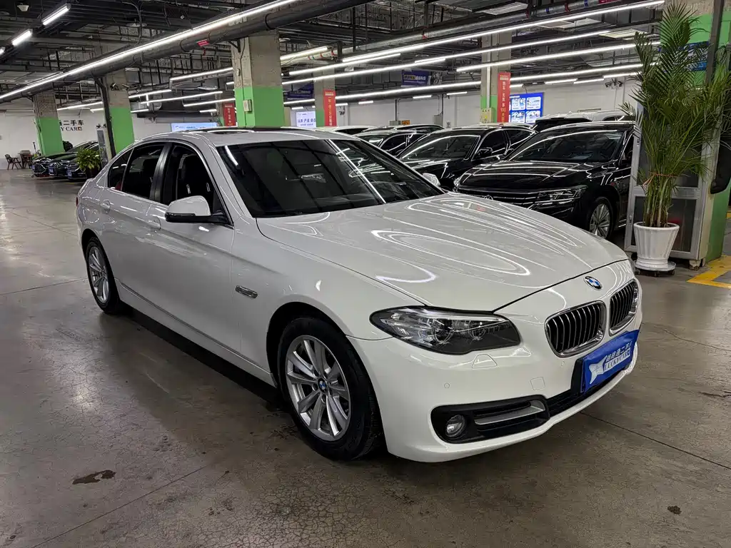 BMW 5 Series (Import) — миниатюра 2