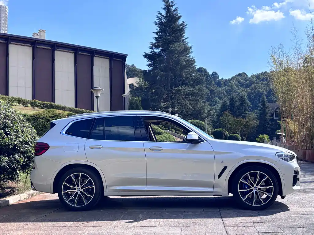 BMW X3 — миниатюра 4