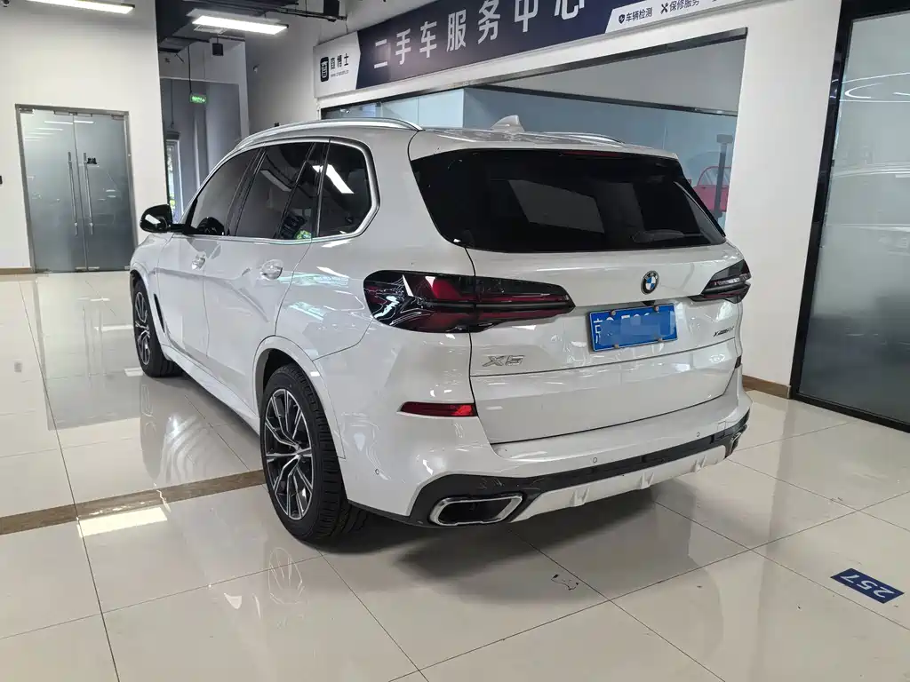 BMW X5 (Import) — миниатюра 2