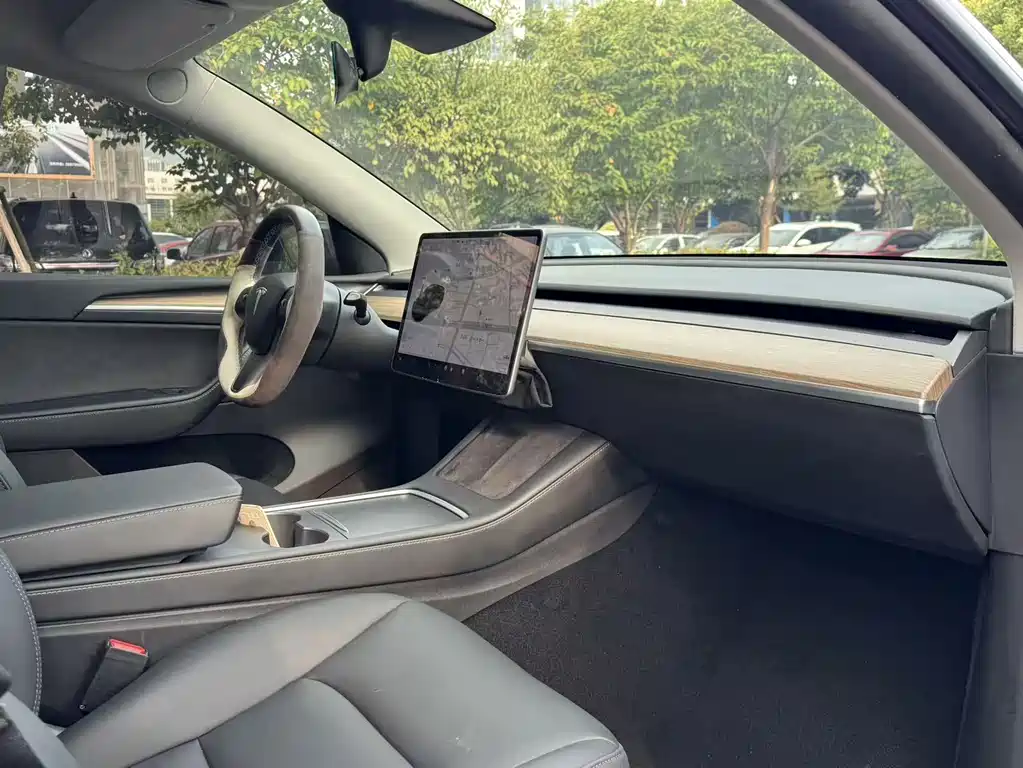 Tesla Model Y — миниатюра 12
