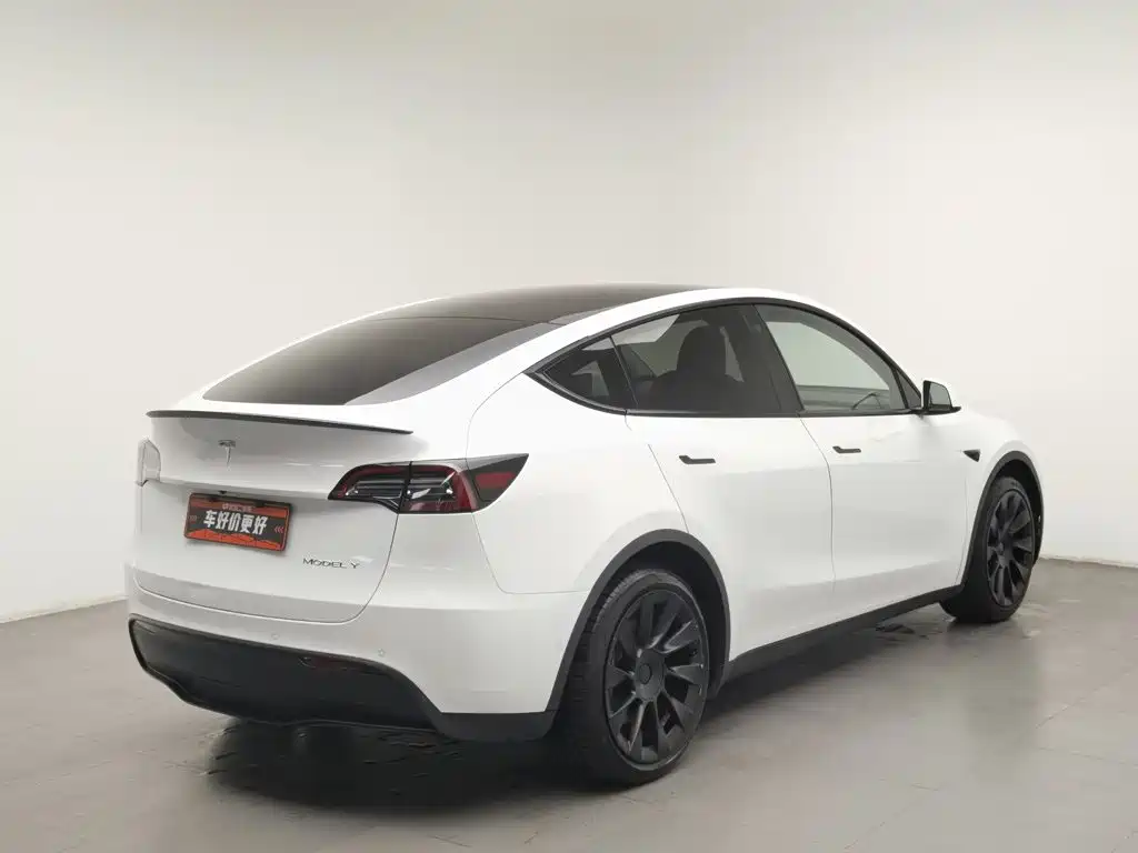 Tesla Model Y — миниатюра 2