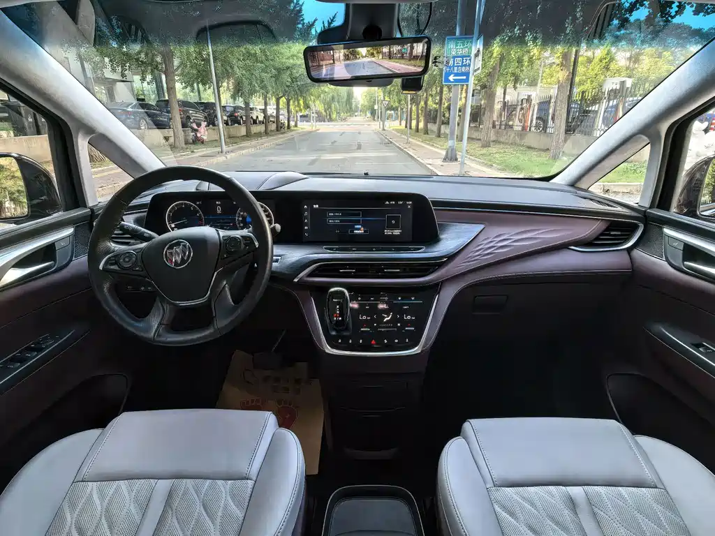 Buick GL8 — миниатюра 15
