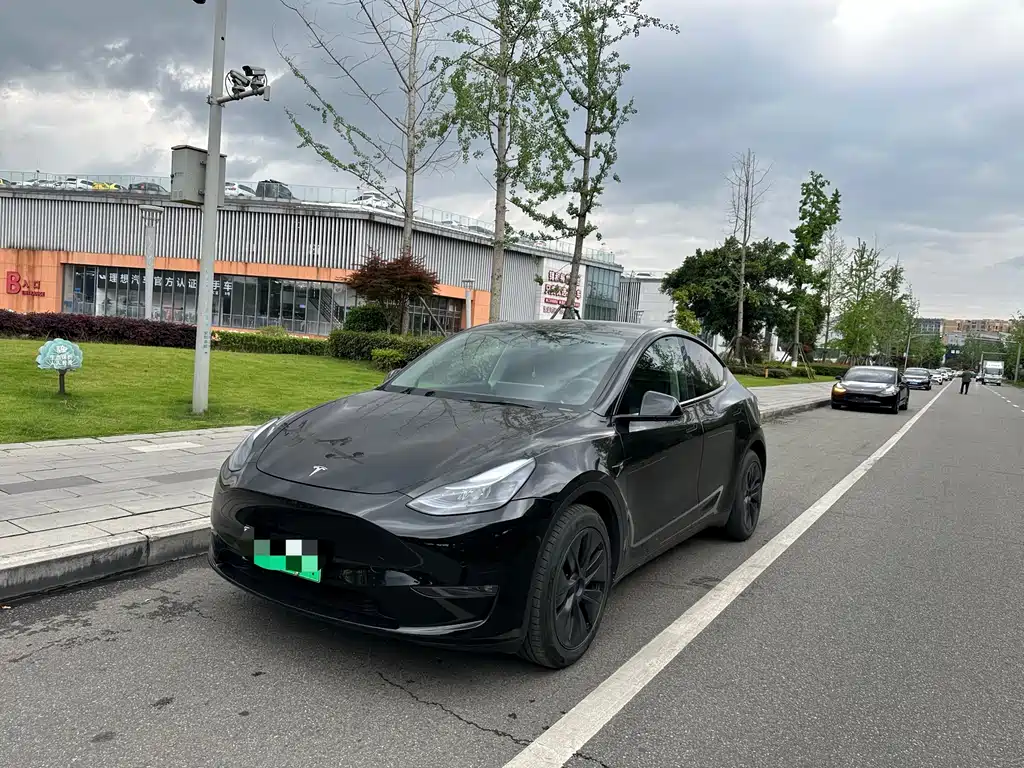 Tesla Model Y 2024
