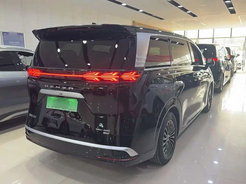 Denza Denza D9 — миниатюра 11