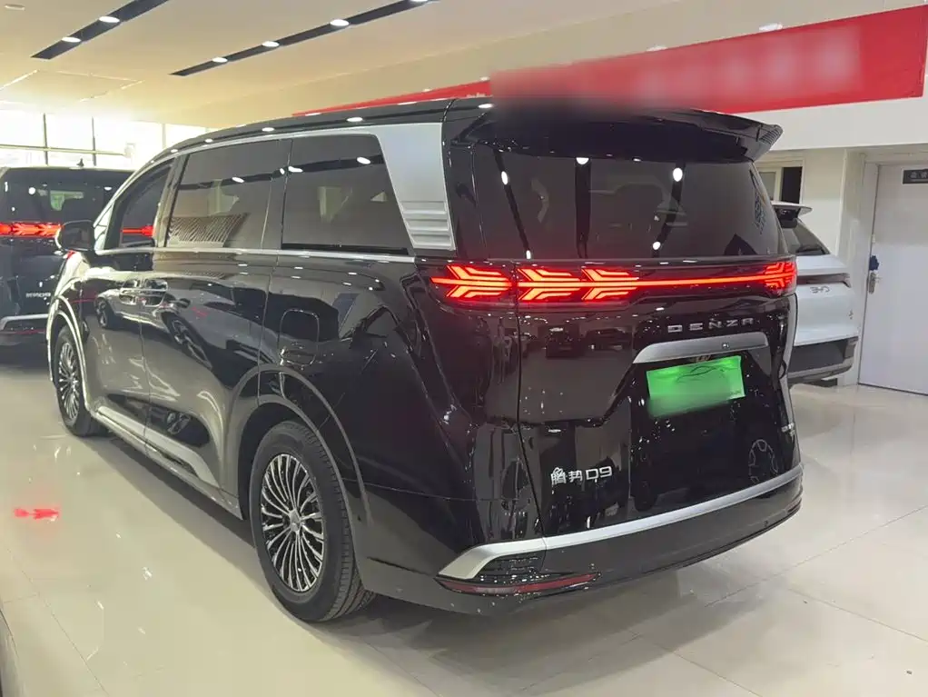Denza Denza D9 — миниатюра 10