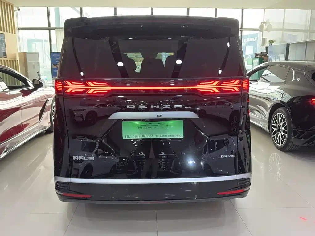 Denza Denza D9 — миниатюра 10