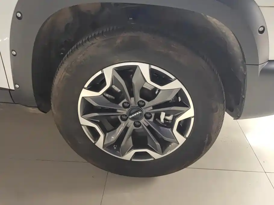 Haval Big Dog — миниатюра 6