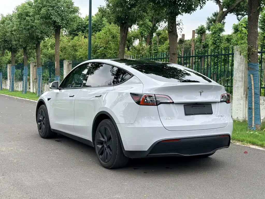 Tesla Model Y — миниатюра 6