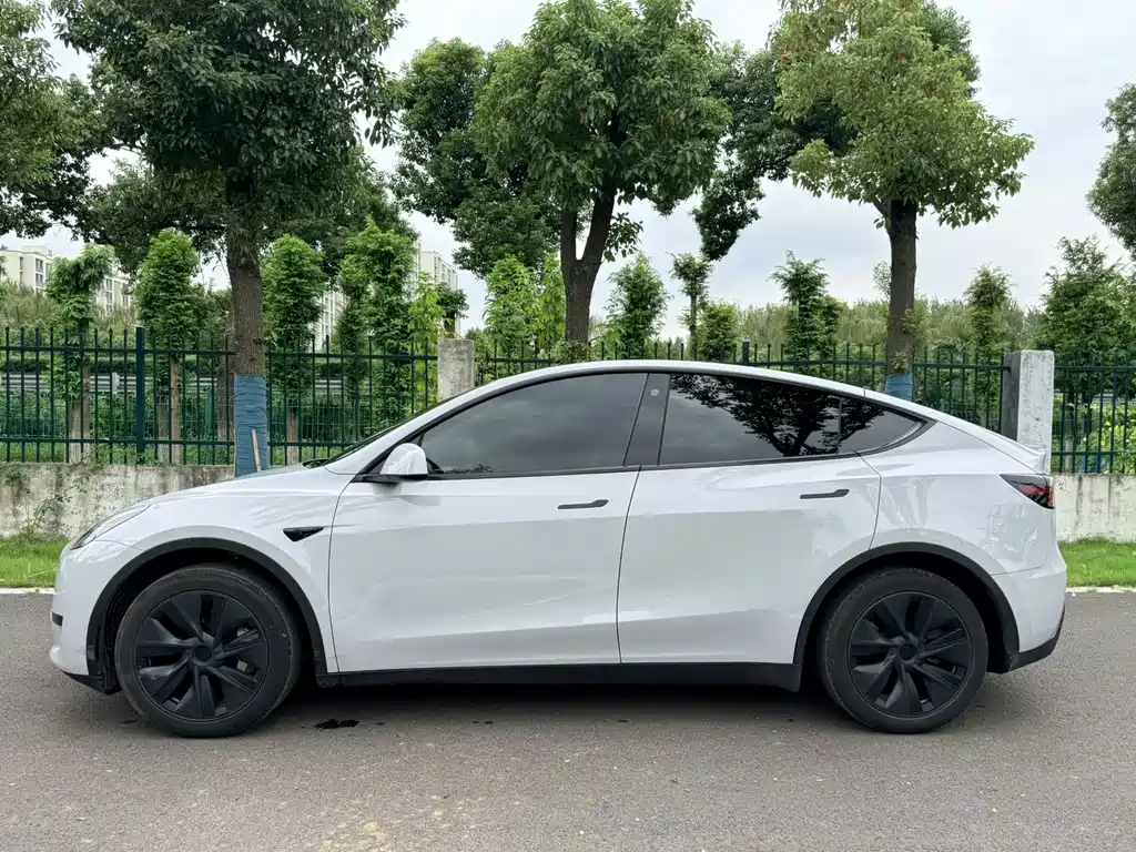 Tesla Model Y — миниатюра 8