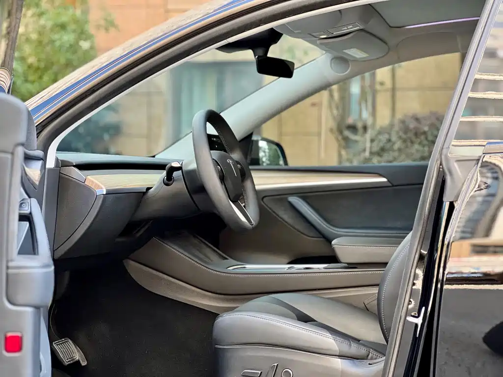 Tesla Model Y — миниатюра 4