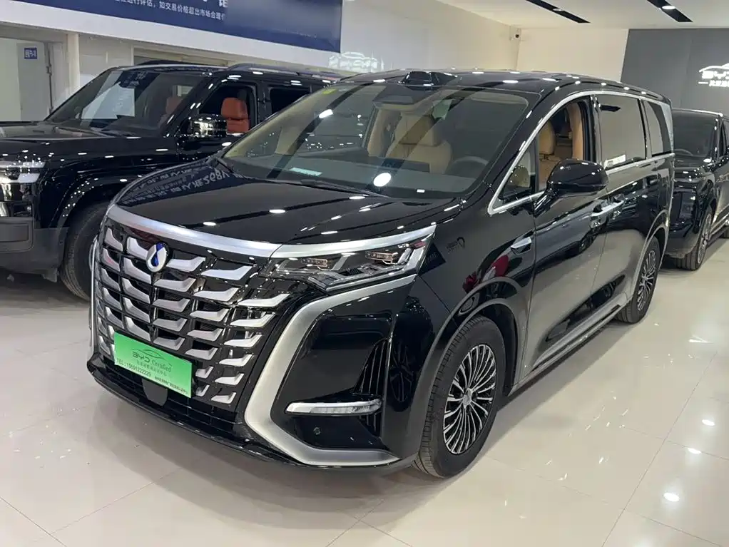 Denza Denza D9 — миниатюра 2