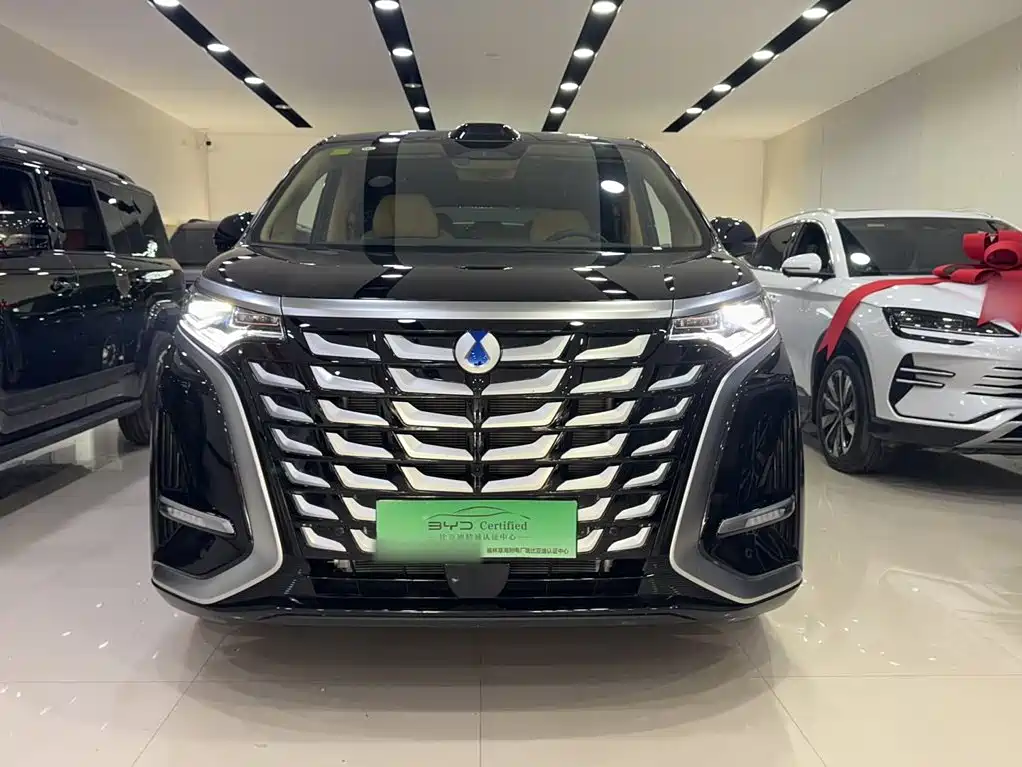 Denza Denza D9 — миниатюра 5