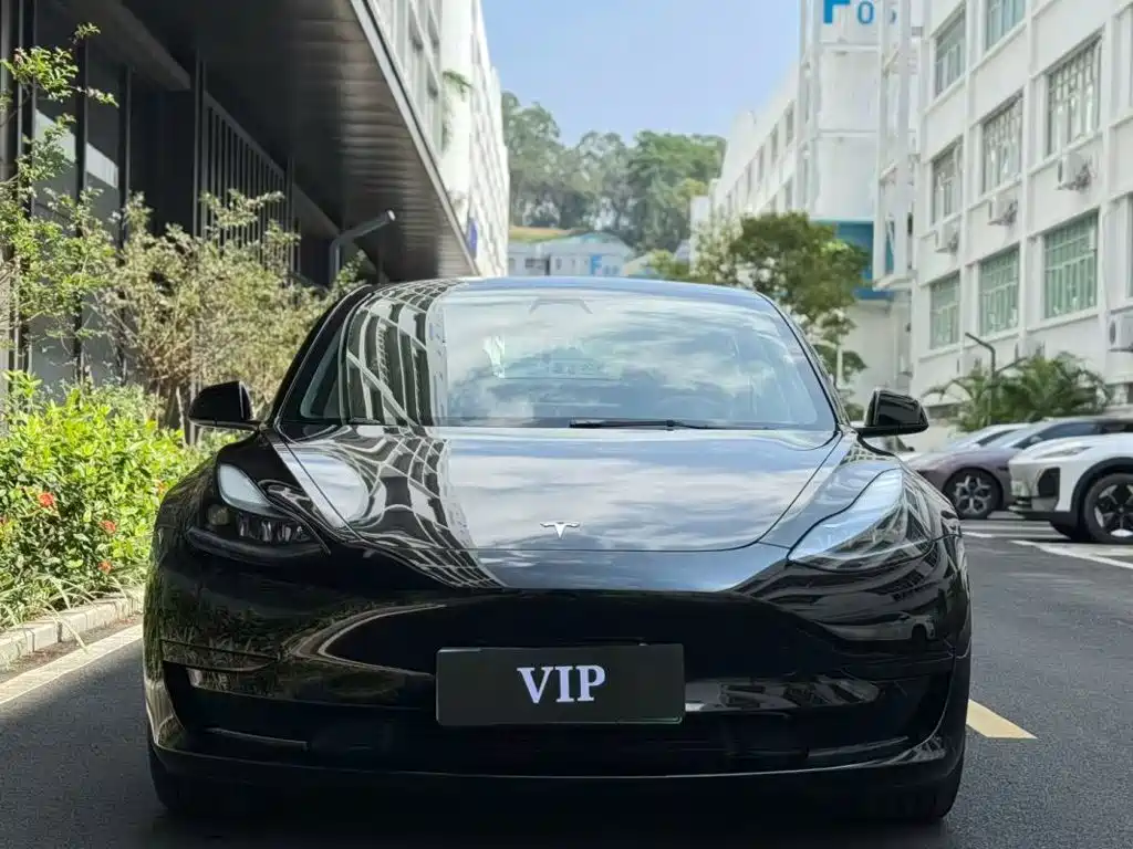 Tesla Model 3 — миниатюра 2