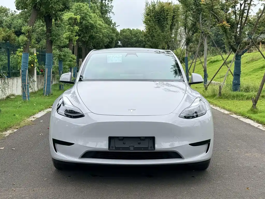 Tesla Model Y — миниатюра 3