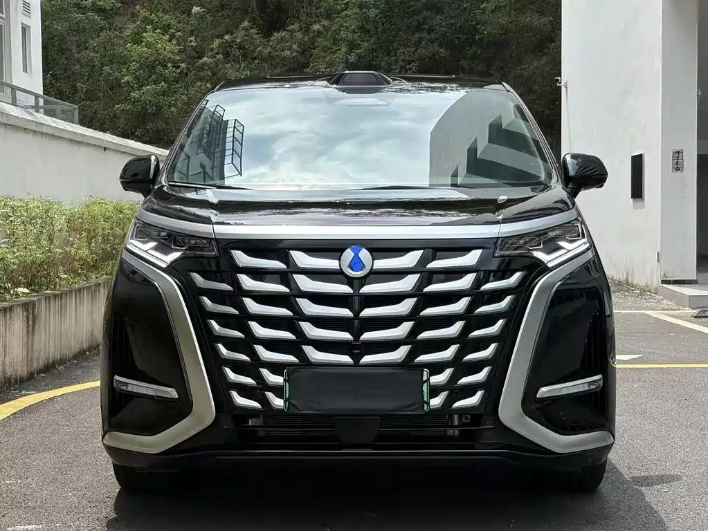 Denza Denza D9 — миниатюра 2