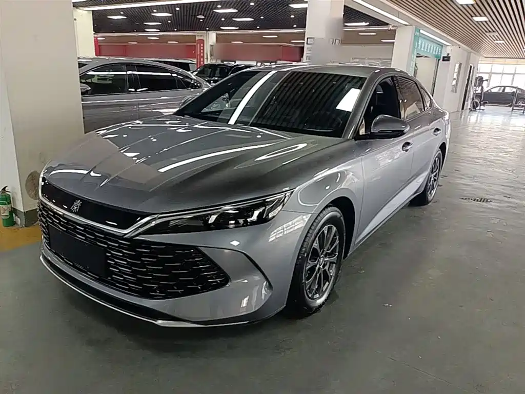 Byd Qin L 2024
