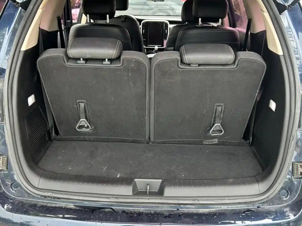 BYD MAX — миниатюра 13