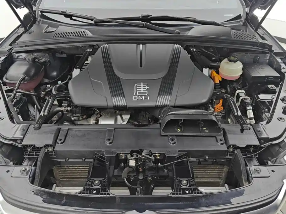 BYD Tang New Energy — миниатюра 10