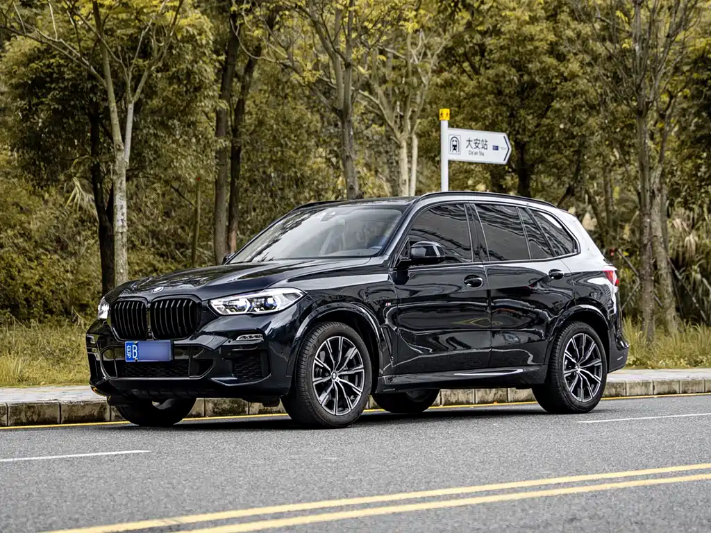 BMW X5 (Import) 2019