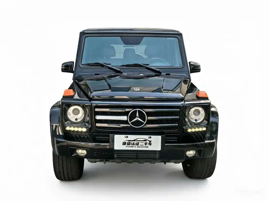 Mercedes-Benz G-Class G 2010 G 500
