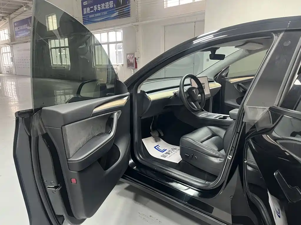 Tesla Model Y — миниатюра 9