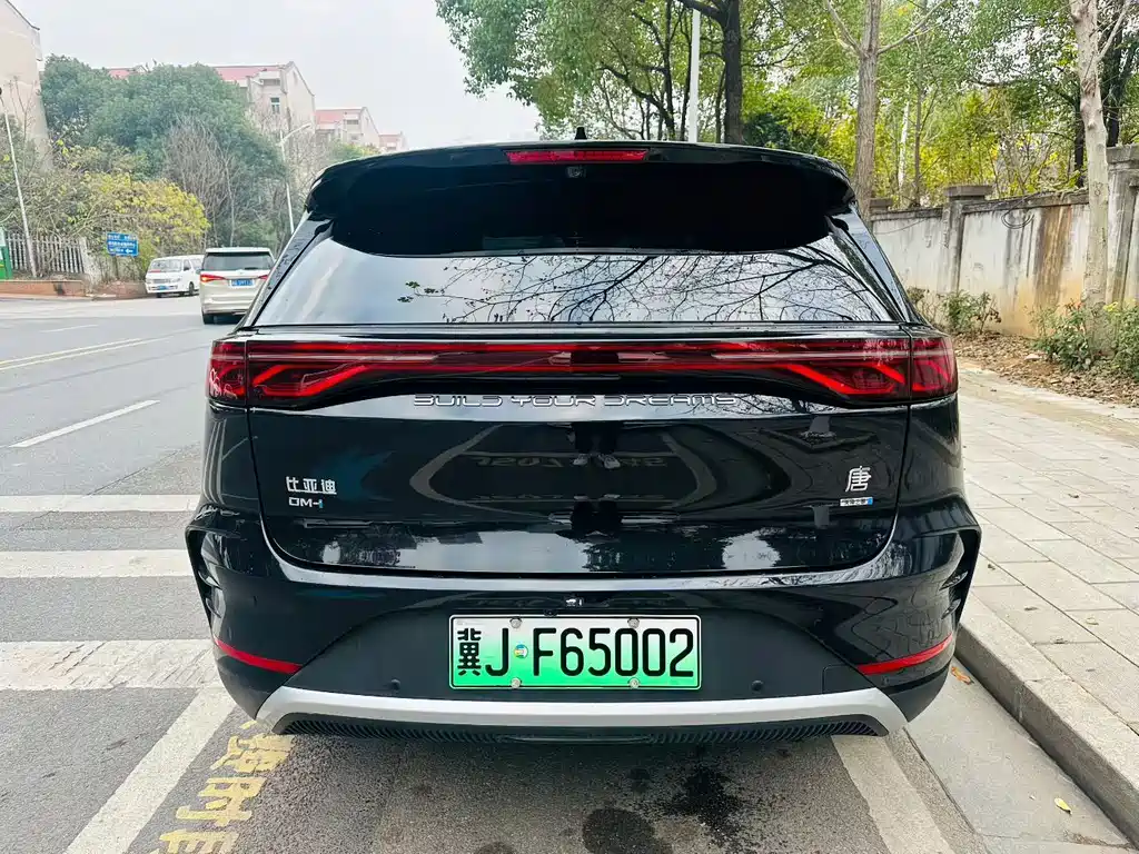 BYD TANGXIN ENERGY