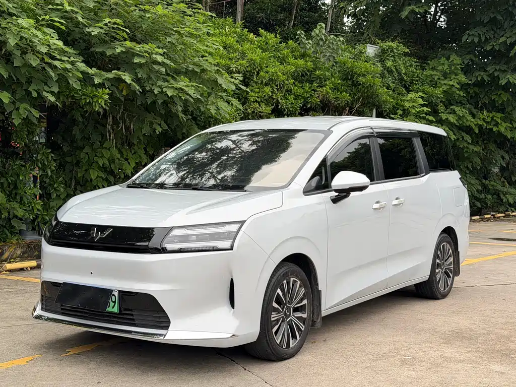 Wuling Звездный свет 730 Новая энергия