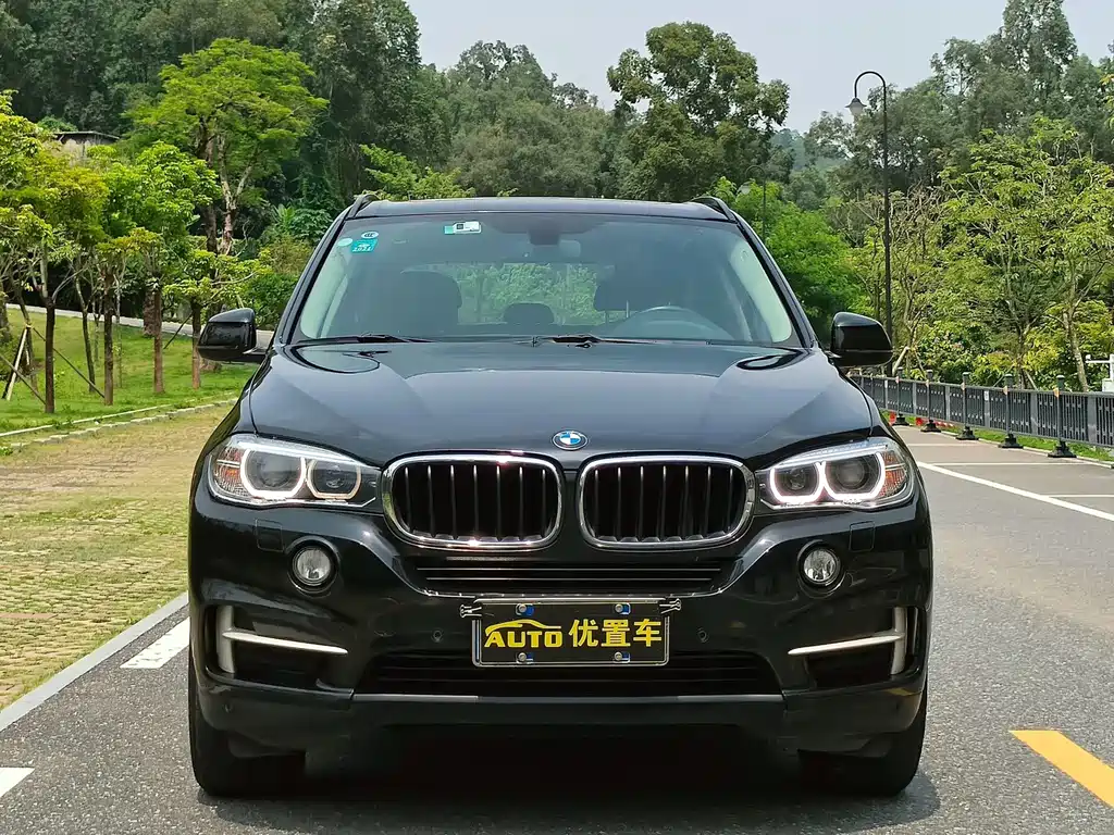 BMW X5 (Import) — миниатюра 2
