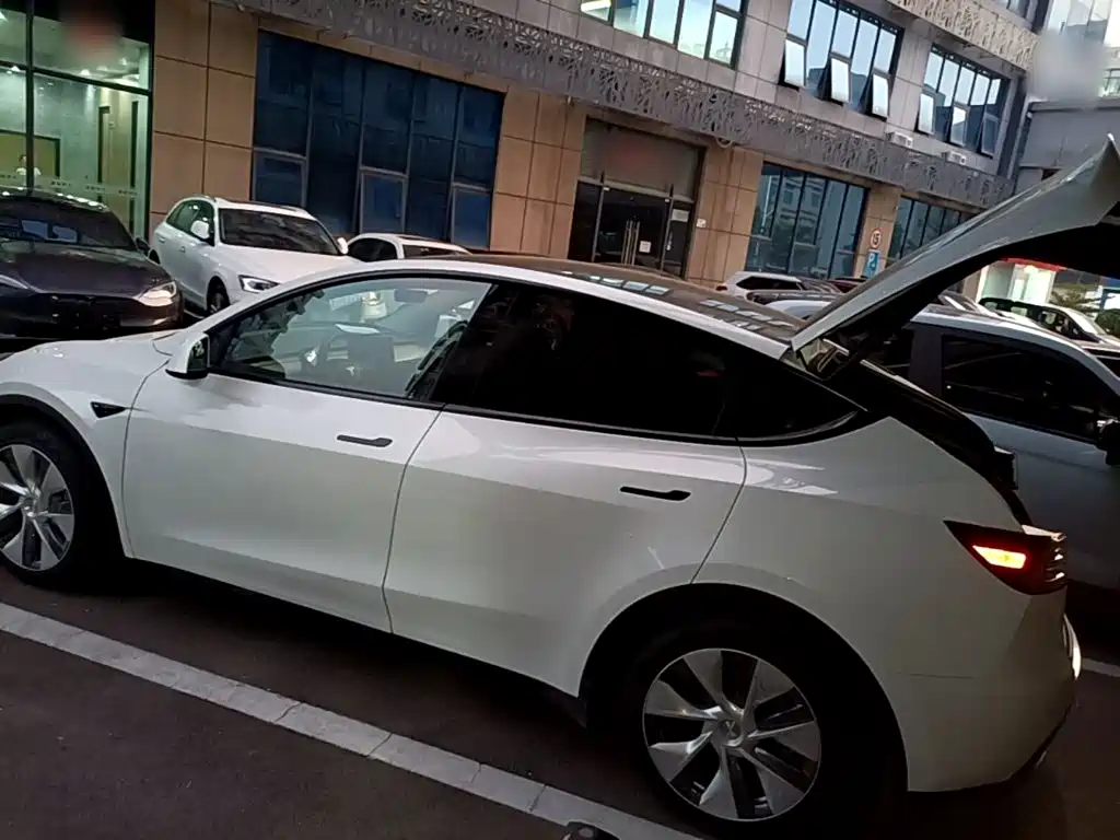 Tesla Model Y — миниатюра 5