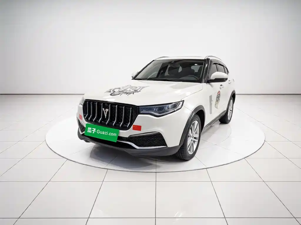 Zotye Zotye T700