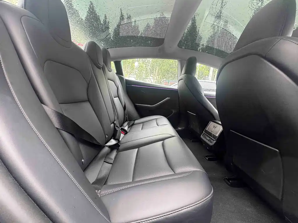 Tesla Model 3 — миниатюра 7