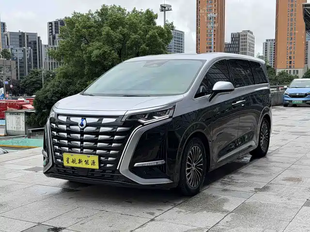 2024 Denza D9