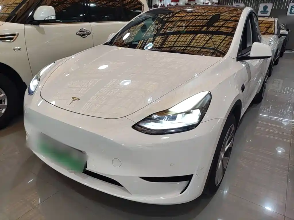 Tesla Model Y — миниатюра 2