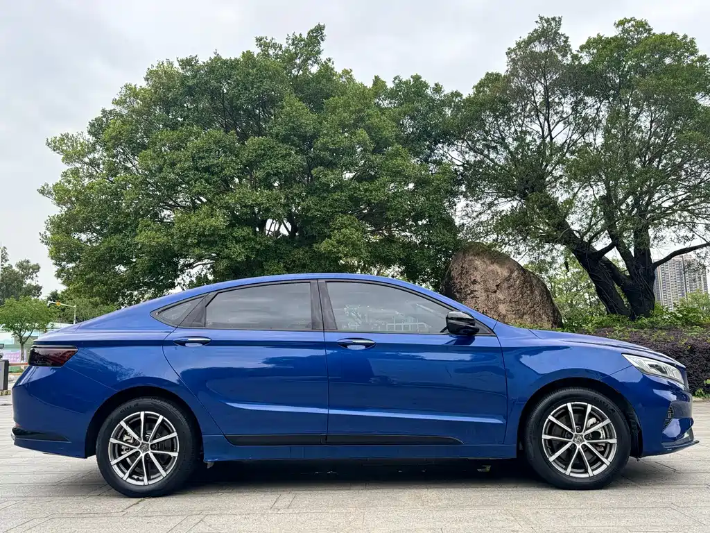 Geely Borui 2021 1.8T +