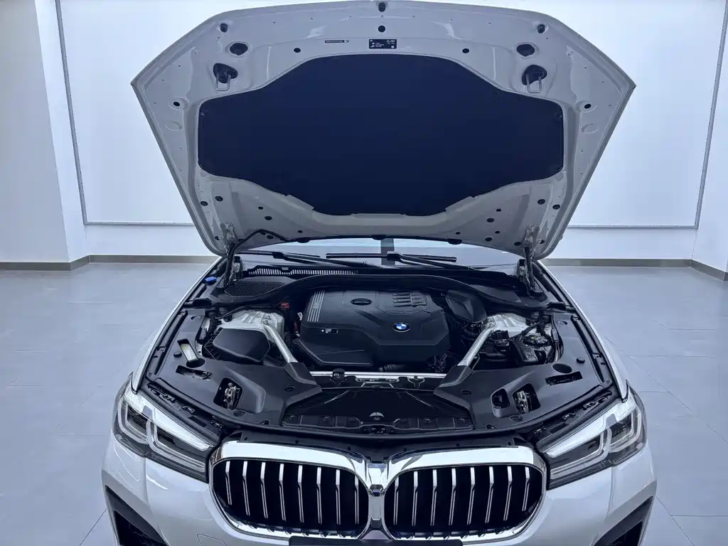 BMW 5 Series — миниатюра 14
