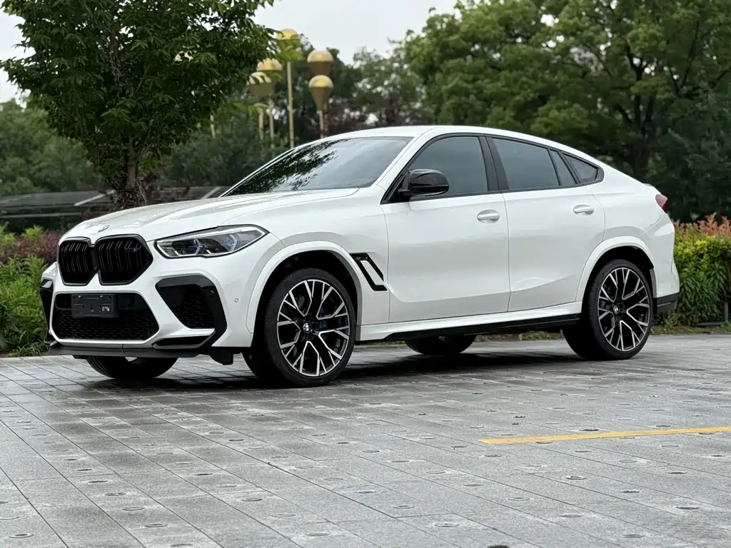 Купить BMW X6 M