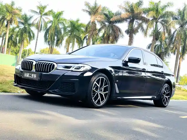 BMW 5 SERIES