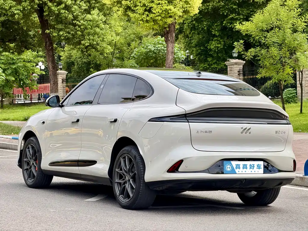 IM IM LS6 — миниатюра 6
