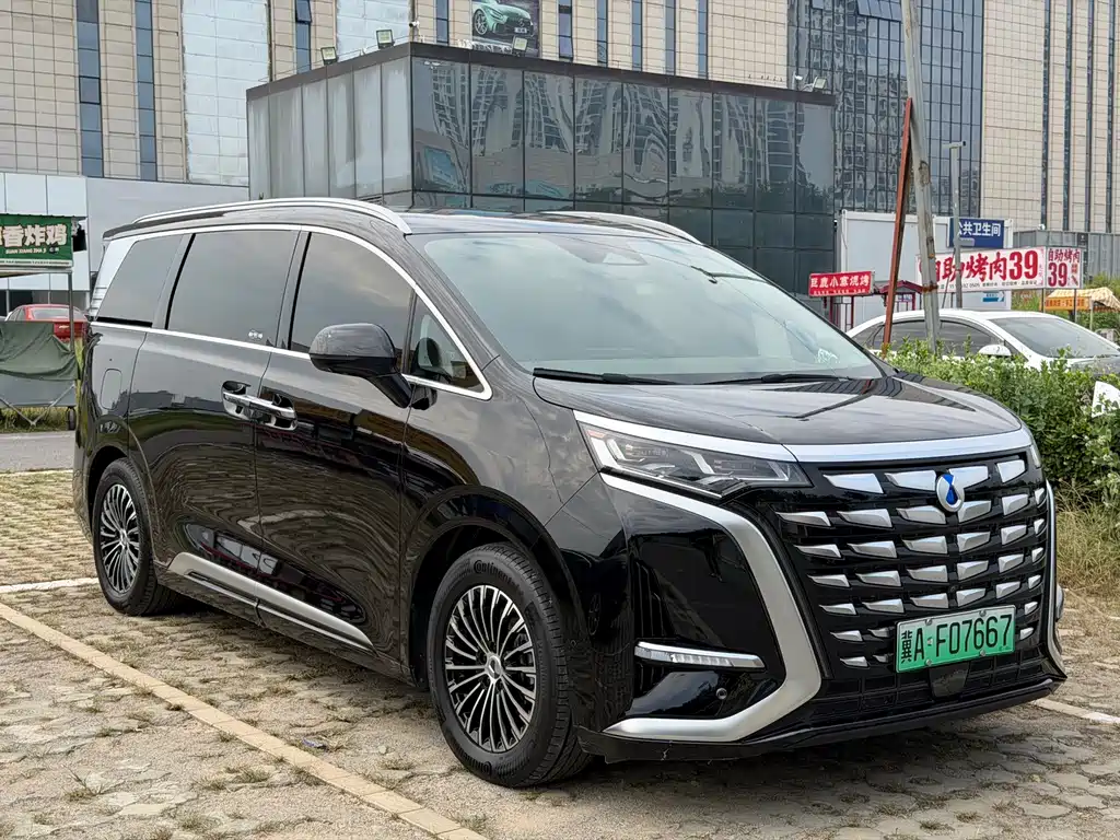 Denza Denza D9 — миниатюра 3
