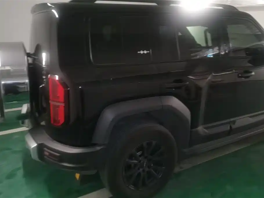 FANG CHENG BAO LEOPARD 5