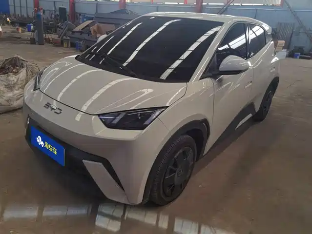 BYD SEAGULL 2024
